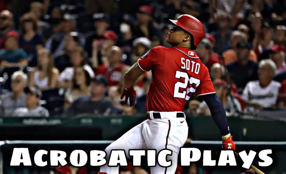 MLB \ Juan Soto Acrobatics Plays