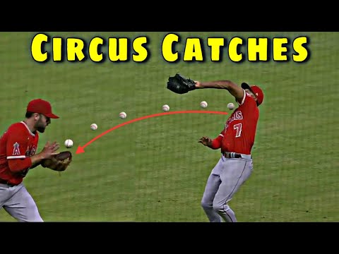 MLB \ Awkward Catches